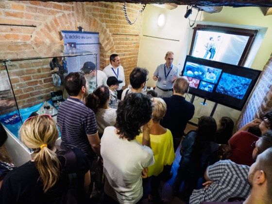 fosforo 2015: le foto – foto 26