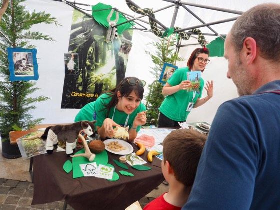 fosforo 2019: photos – photo 52