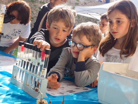 fosforo 2019: photos – photo 62