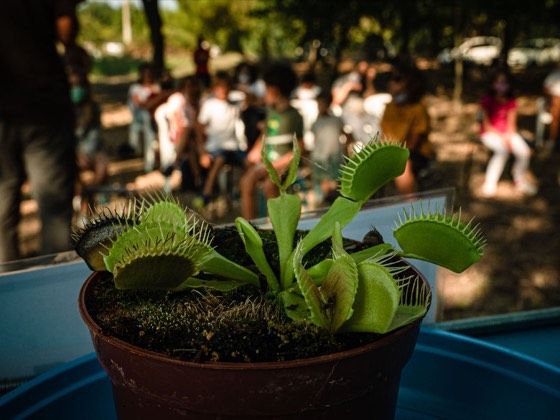 fosforo 2020: into the wild – foto 18