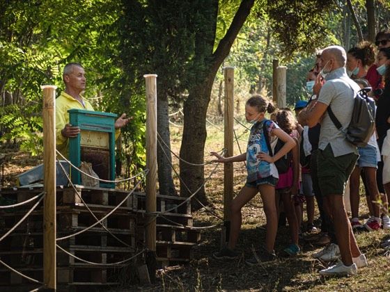 fosforo 2020: into the wild – foto 134