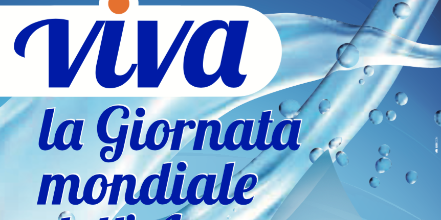 54267891_2041298202586158_7758542405120294912_n