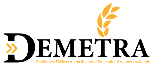 Logo del progetto D.EM.E.T.R.A. – Didattica per l’empowerment ecologico, tecnologico, resiliente, aziendale