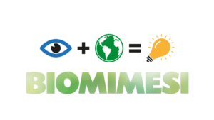 logo Mostra Biomimesi
